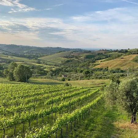 Palazzo Gessi And Breakfast Borghi